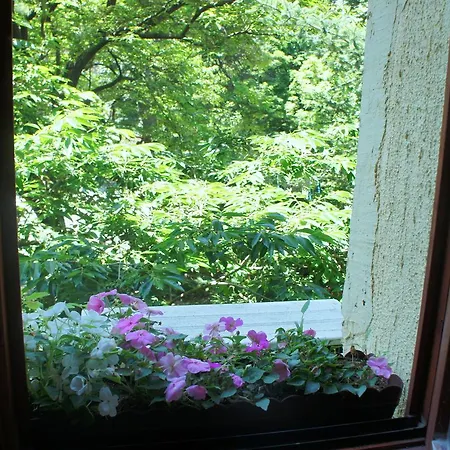 Behind The Flowers *